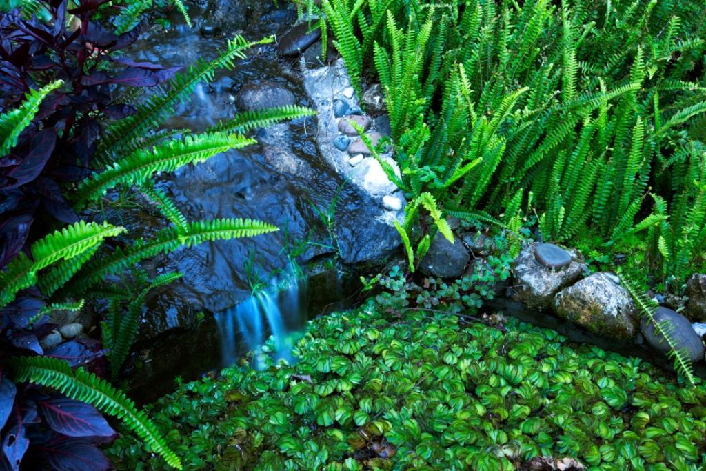 Pine Borough Inn Kodaikanal Ngoại thất bức ảnh